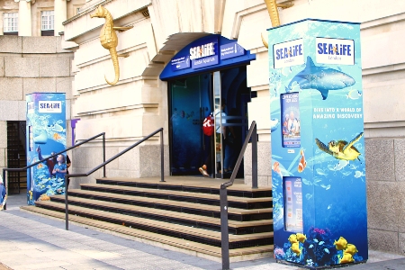 Лондонский Аквариум